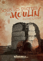 Sous les pierres du moulin - Elodie Gasni