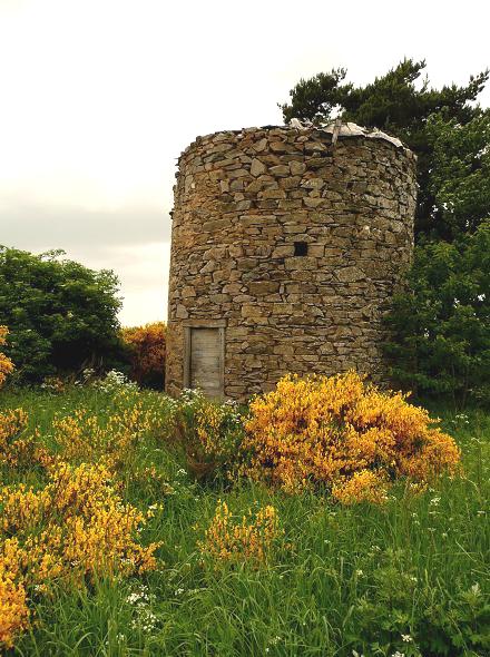 Moulin de l'arbre de la Garde - Ally