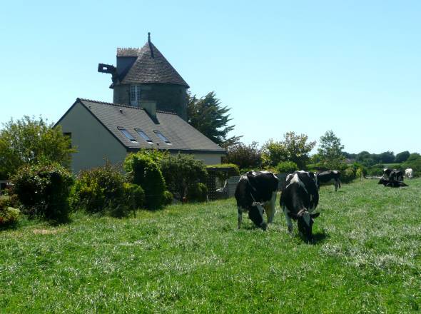 Un moulin de Kerrollet, habit
