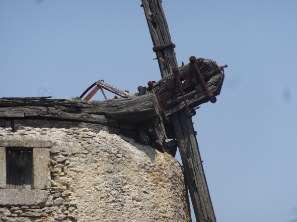 La tte d'arbre du Moulin Neuf de Baraigne en 2020