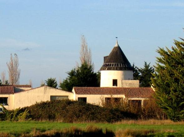 Moulin du Sud - Bouin