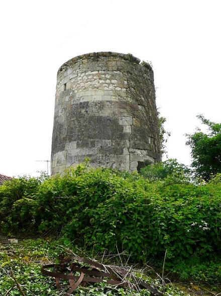 Le Petit Moulin � Brie sous Mortagne