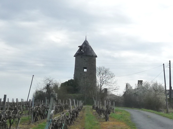 Le Moulin Blanc - Brign