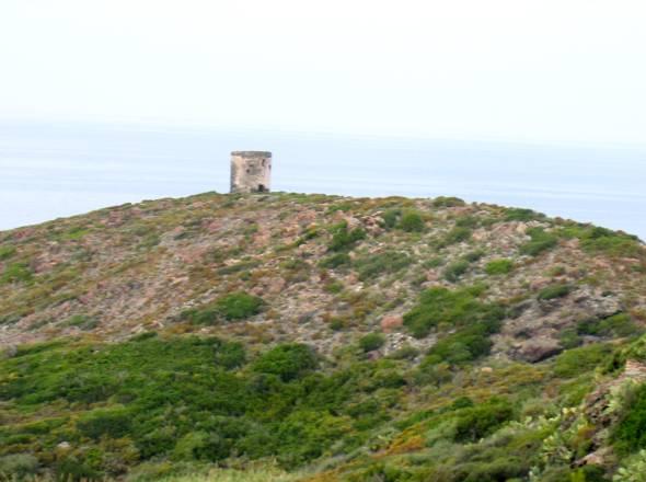 Moulin tour en ruine sur la commune de Centuri