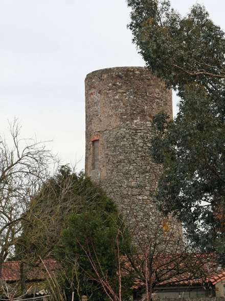 Moulin au Quarteron - Champtoceaux