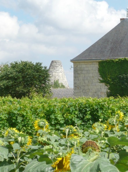 Un des moulins de Fredelin - Charc St Ellier sur Aubance