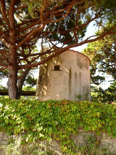 Moulin du Puits Rochais - Chteau d'Olonne