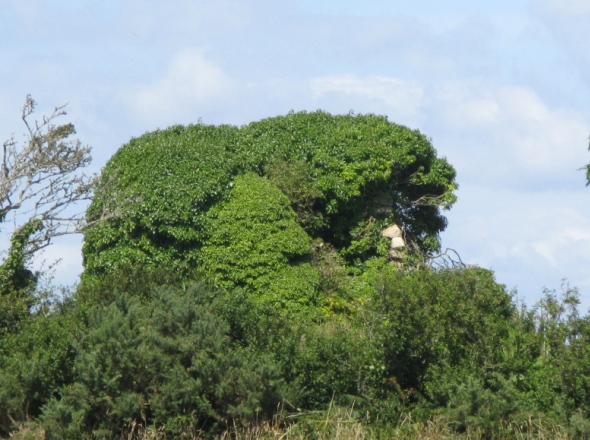 Moulin de Lannuet sous sa couverture vgtale