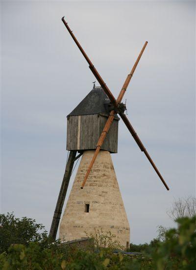 Moulin des Bleuces - Concourson sur Layon