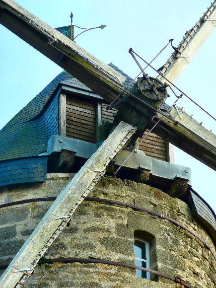 Tte d'arbre du moulin Cartier