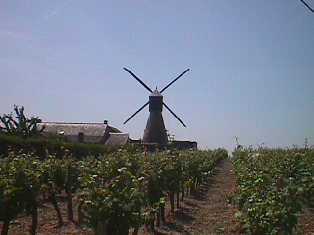 Moulin de la pinsonnerie - Faye d'Anjou