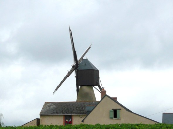 Moulin de la Pinsonnerie - Faye d'Anjou