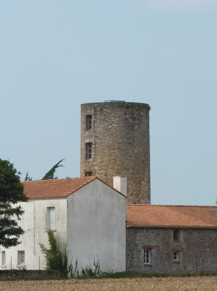 Moulin des Pins - Frossay