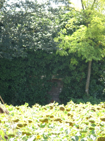 La porte du moulin en briques, en ruine !