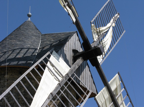 Tte d'arbre du Moulin de Gignac