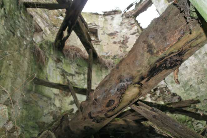 Moulin de Bondereau - Guenroet, intrieur ruin