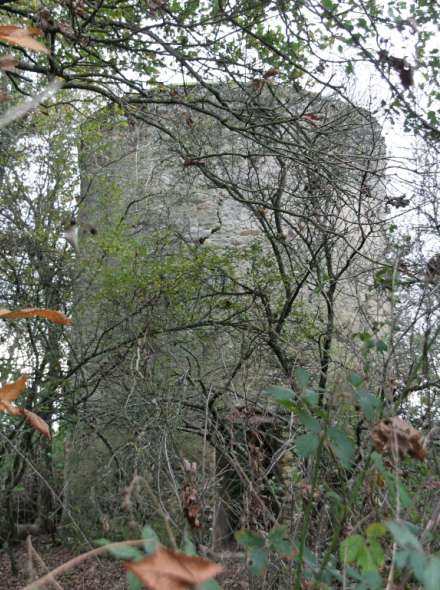 Moulin de Rialand - Guenroet