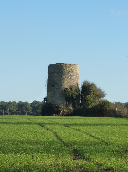 Moulin de Kergoche - Herbignac