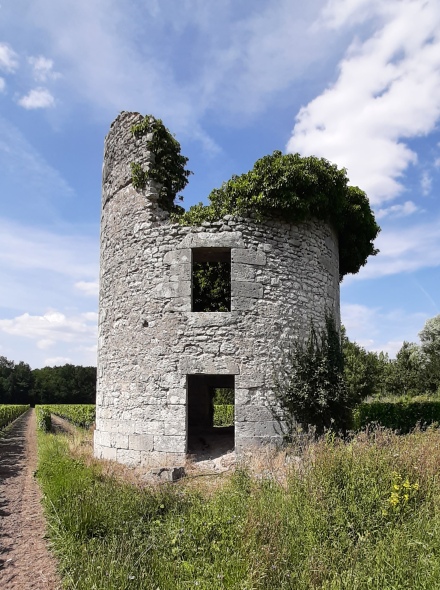 Le Moulin des Landes  Huisseau sur Cosson