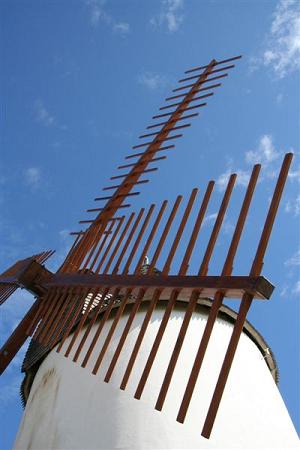 ailes  entoiler du moulin de la Conchete  Jard sur Mer