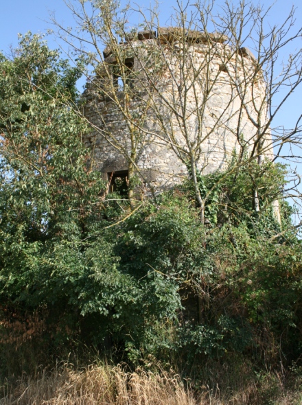 Ancien moulin à Jussy le Chaudrier