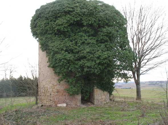 L'un des moulins de Labastide Paums