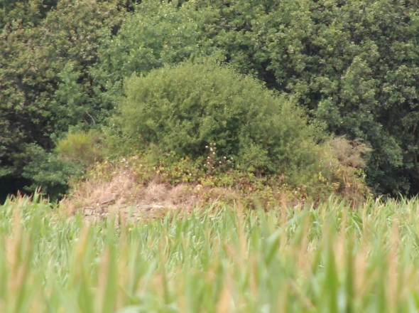Moulin de Galvendais - La Chapelle des Marais