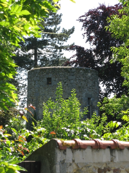 Moulin de la Bistourie - La Chapelle Gauthier