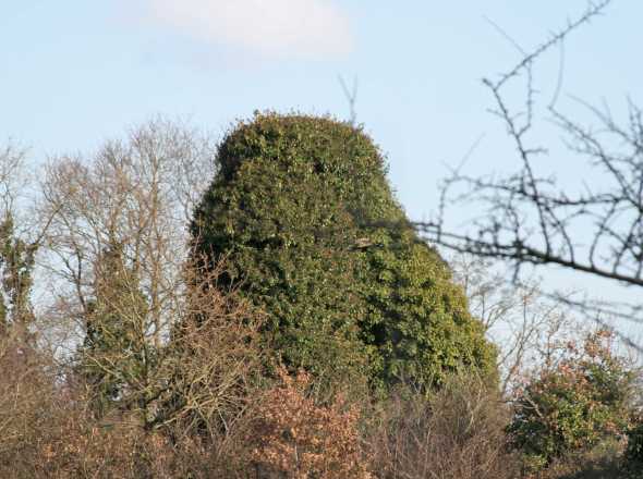 Moulin du Vivier - La Chapelle sur Erdre