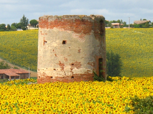 Ancien moulin  Lacroix Falgarde