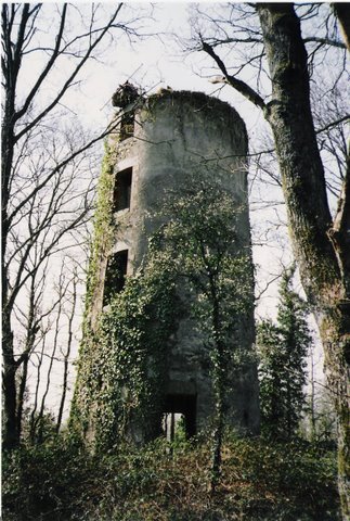 Moulin de la Guyonnire