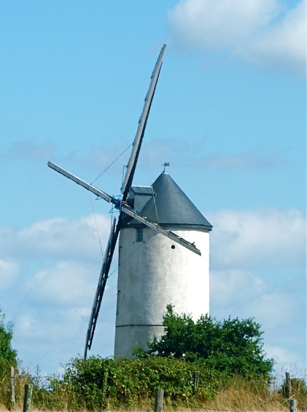 Moulin de la renardire vu de loin