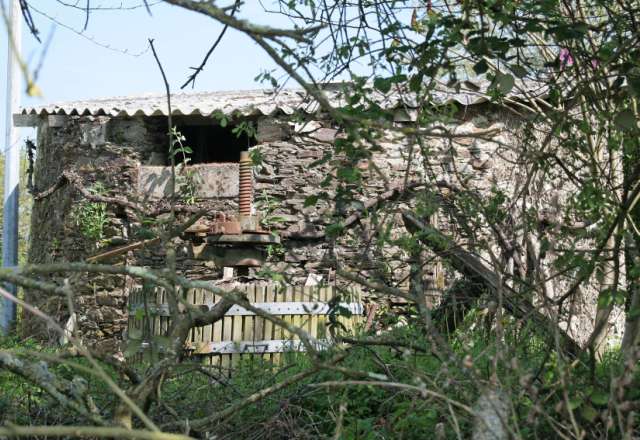 Moulin Beduaud - La Regrippire, autre angle de vue