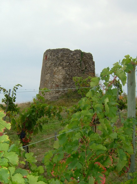 Moulin de Rozs - Le Fossat