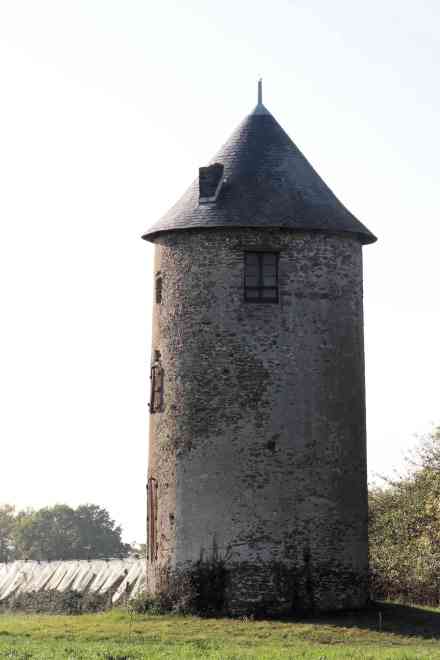 Moulin Pinot - Le Mesnil en Valle