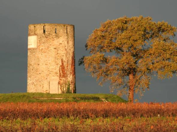Moulin de Beauchne - Le Pallet - autre vue