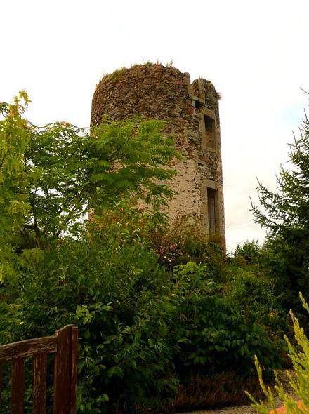 Moulin de la Thibaudire - Les Essarts