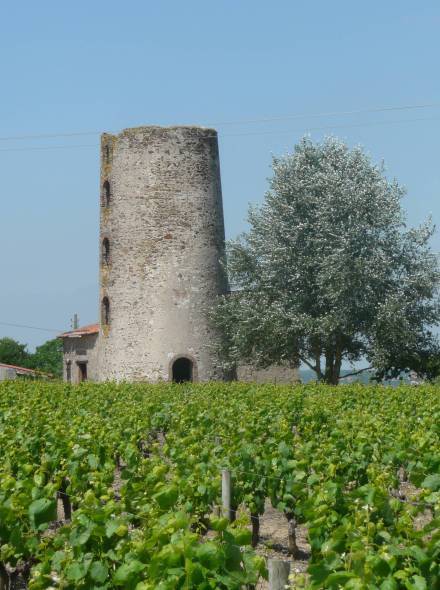 Moulin des Vignes - Lir