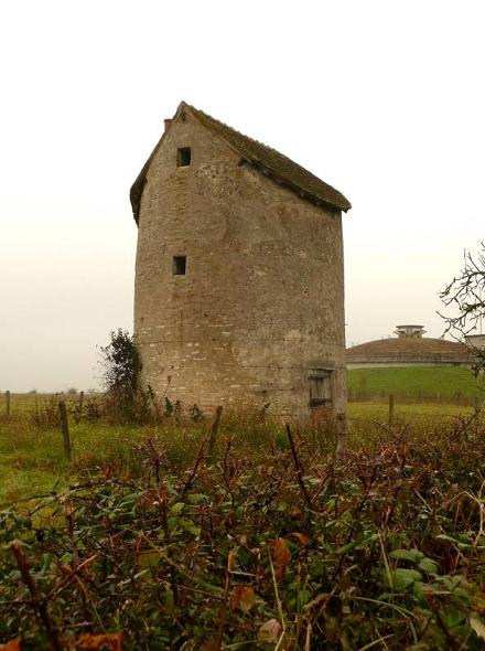 1er Moulin  Livry