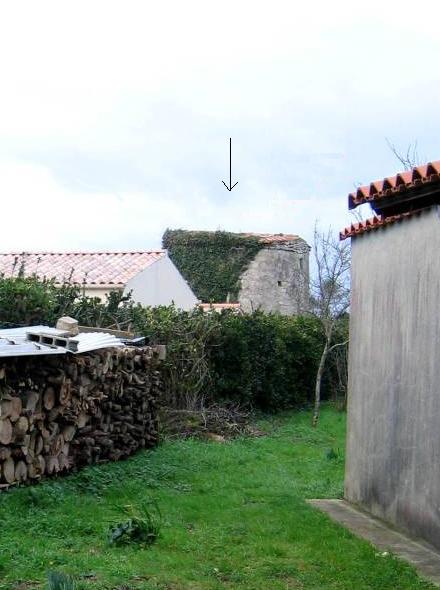 Moulin de la Raisinire - Longeville sur Mer