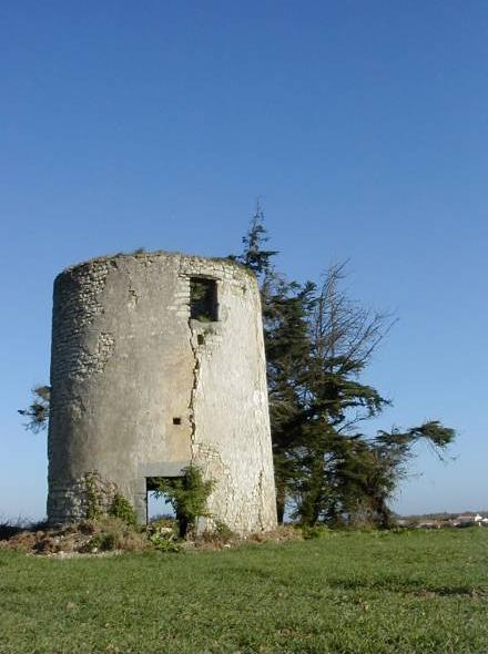 Le Petit moulin - Longeville sur Mer