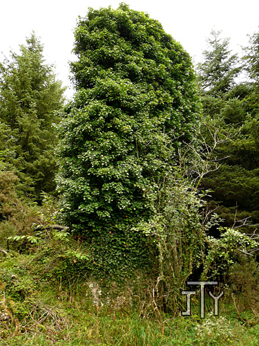 Moulin de Lesturgant - Malgunac