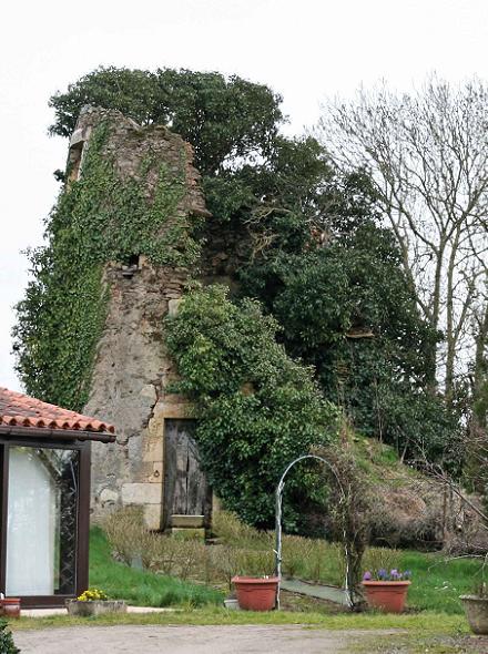 Moulin Seign  Mareuil sur Lay Dissais