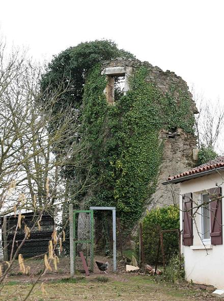 Autre face du Moulin Seign  Mareuil sur Lay Dissais