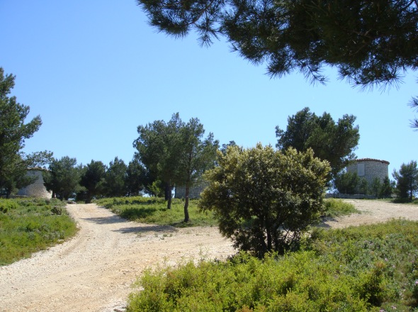 Trois anciens moulins  Martigues