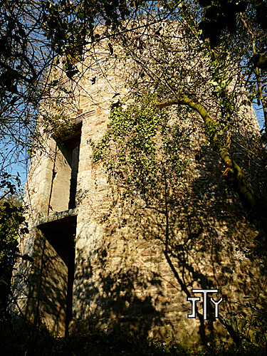 Moulin des vignes - Matignon