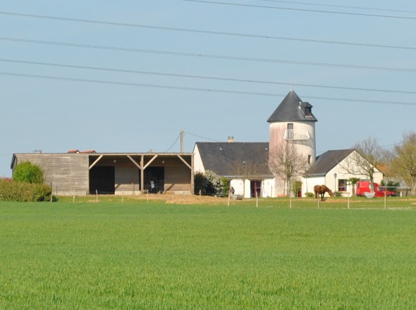 Moulin de la Seigneurie - Msanger