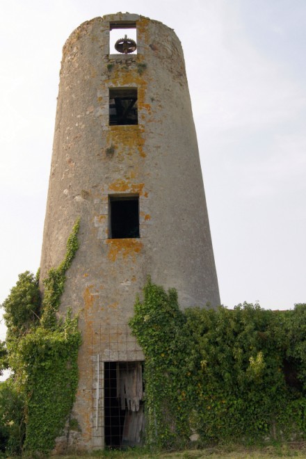 Un premier moulin  Montign sur Moine