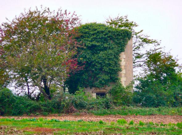 Ancien moulin tour des Rochettes - Mron - Montreuil Bellay