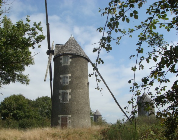 Vue des trois moulins de Mouilleron en Pareds